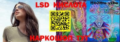 крисы Кулебаки