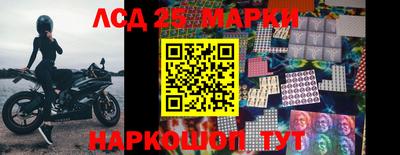 крисы Кулебаки