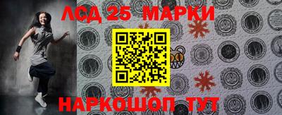 крисы Кулебаки