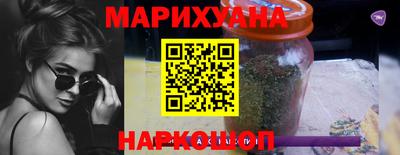 крисы Кулебаки